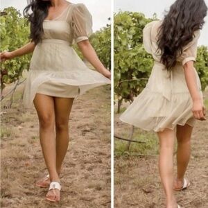 BRAND NEW !!!Knee length dress from macys